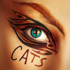 Close-up of vibrant eye with intricate black and brown feline-inspired makeup. The word "CATS" is written below, reflecting a theatrical and bold tone.